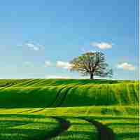 chat下‌载‍手﻿机​版﻿